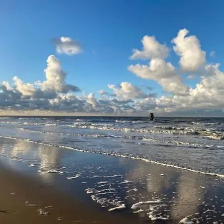 Seaview With Style Appartement Oostende